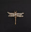 Fashion Brooch